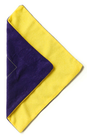 Vivishine Polishing Wipe